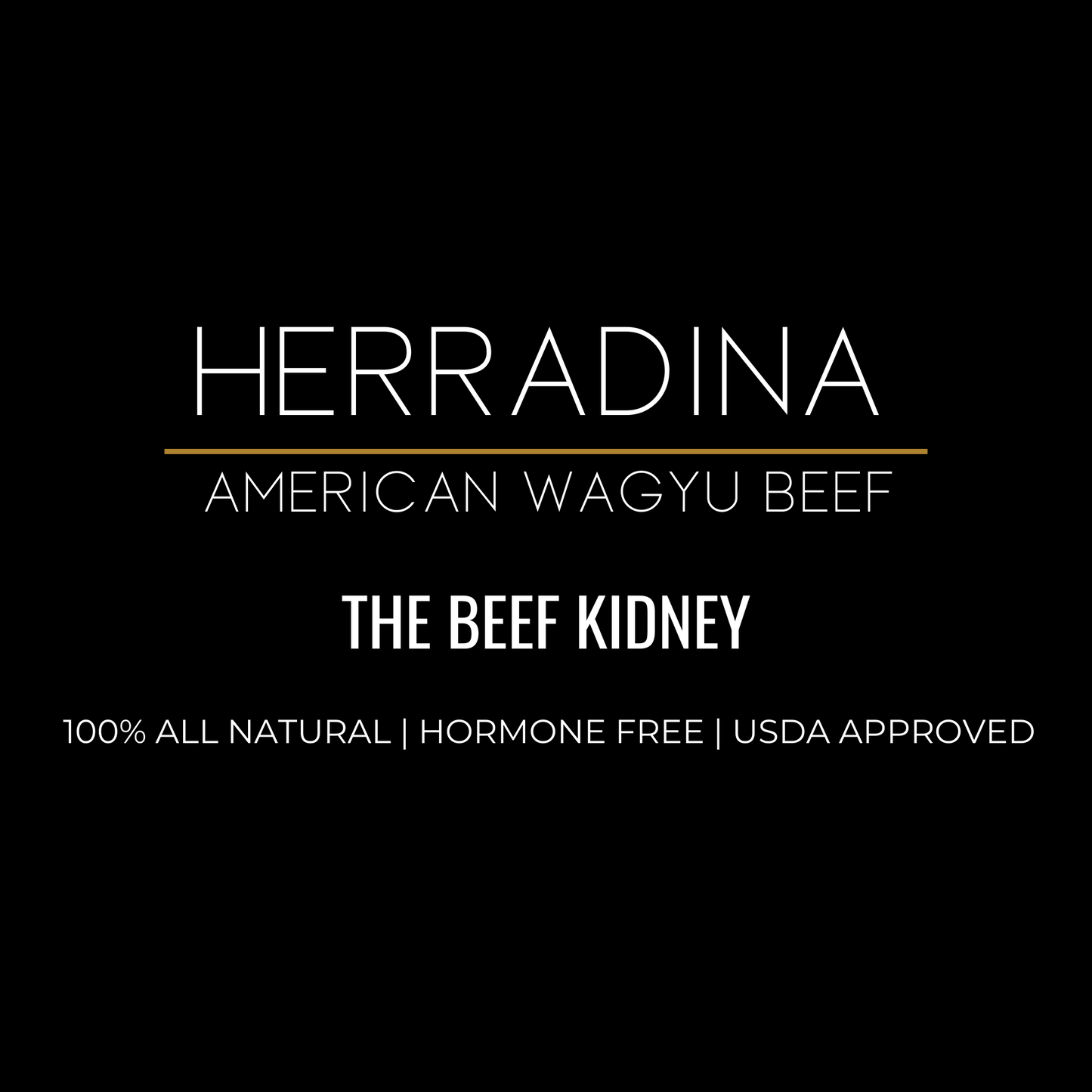THE BEEF KIDNEY - AMERICAN WAGYU BEEF