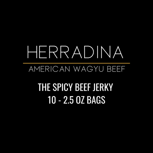 THE SPICY BEEF JERKY - 10 PACK