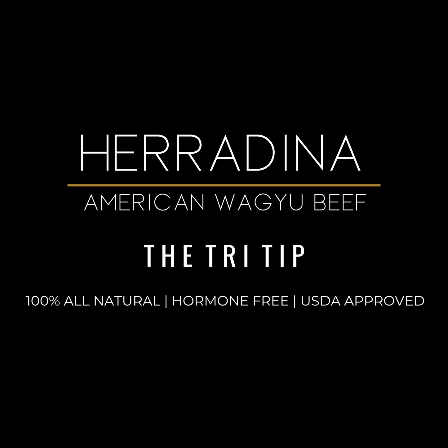 AMERICAN WAGYU BEEF - THE TRI TIP
