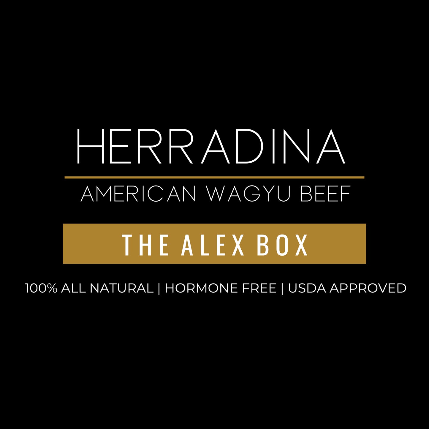 THE ALEX BOX