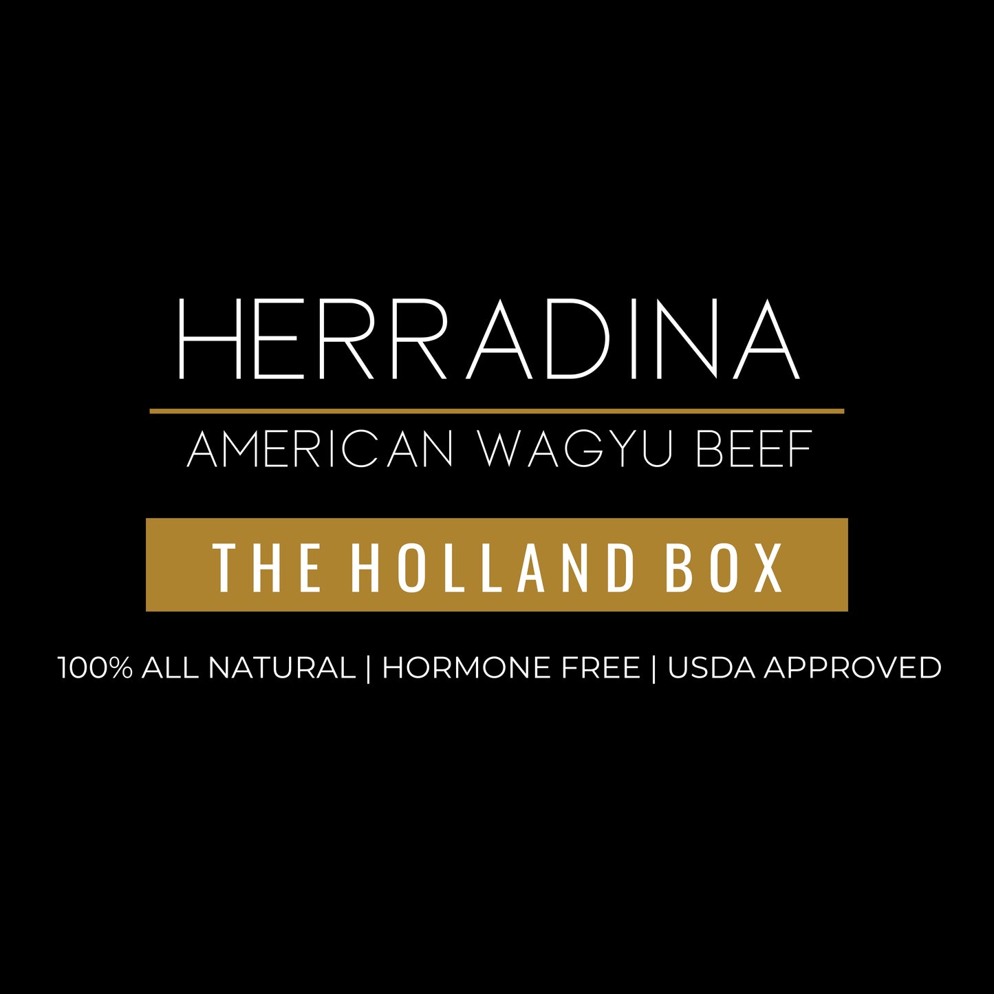THE HOLLAND BOX